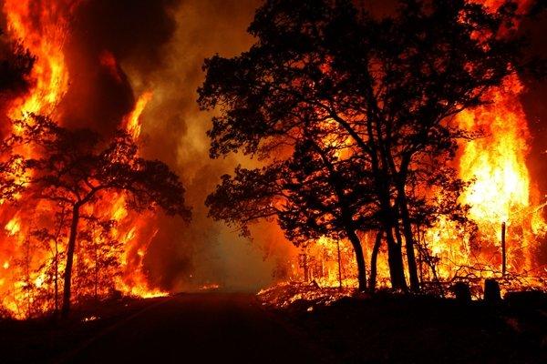 آتش‌سوزی در جنگل‌های گچساران ادامه دارد