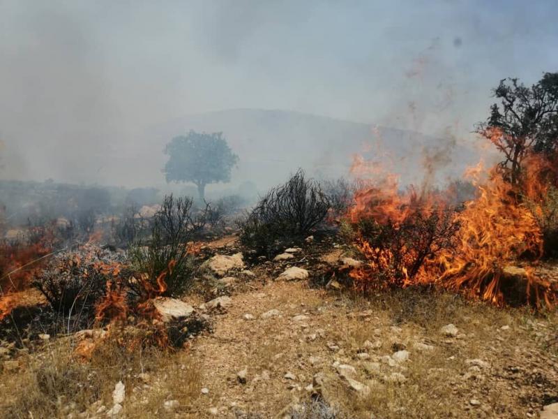آتش سوزی پارک ملی تندوره مهار شد