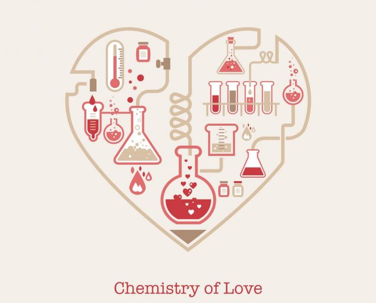 حال و هوای عاشقی را با شیمی درک کنید / انتخاب همسر با نوعی ماده شیمیایی عصبی!