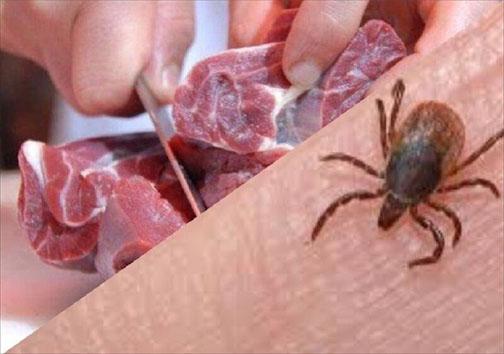 تاکنون بیماری تب کریمه کنگو در مهاباد دیده نشده است