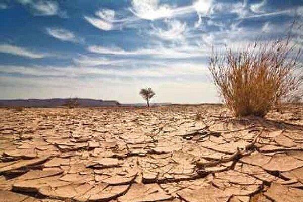 ۵۰ درصد از استان زنجان با مشکل خشکسالی مواجه است