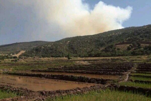 جنگل های منطقه سادات محمودی شهرستان دنا دچار حریق شد