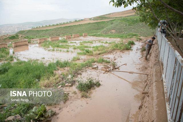 جبران ۹۸ درصدی خسارت کشاورزی ناشی از سیل و طوفان در ساری