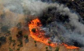 آخرین جزئیات از آتش سوزی جنگل‌های پاوه