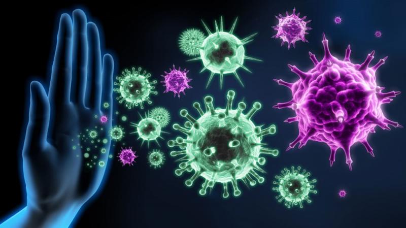 احتمال همه‌گیری نوع جدید آنفولانزای خوکی