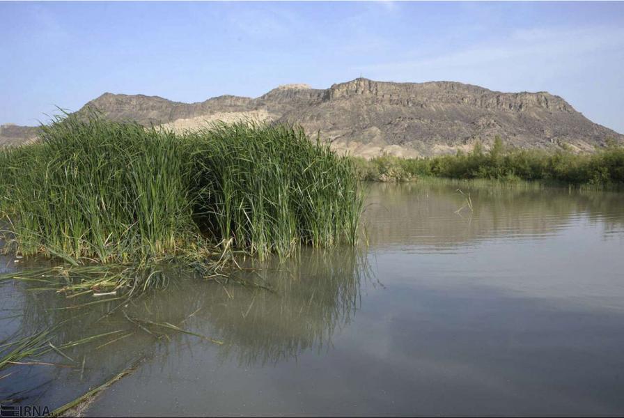 ‍ آتش سوزی، تهدید جدی برای تالاب‌ها و مناطق