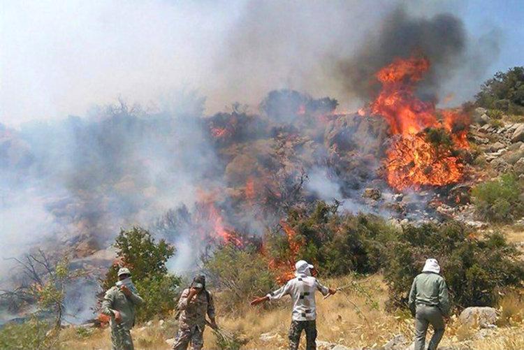 فوت یک جوان دیگر هنگام خاموش کردن آتش جنگل