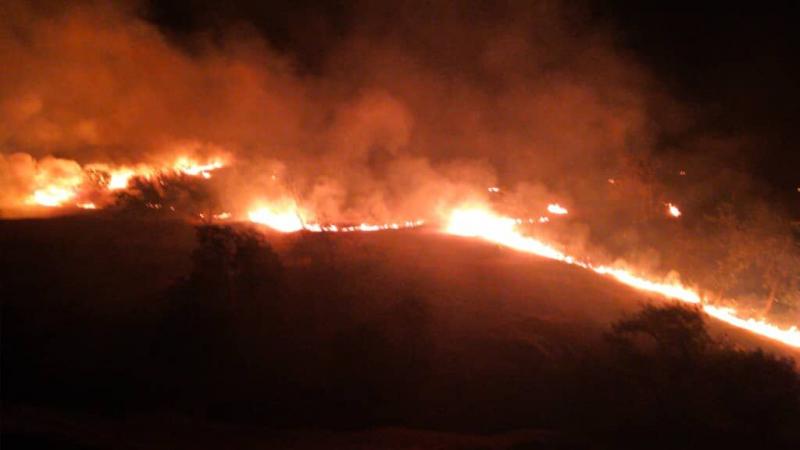 آتش‌سوزی در جنگلهای چهارمحال و بختیاری جان یک امدادگر را گرفت