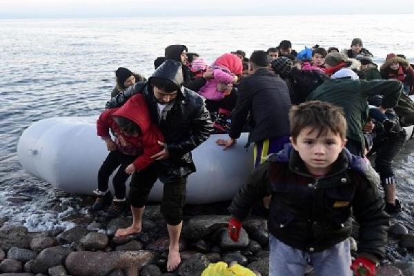 ترکیه ۲۷۶ مهاجر غیر قانونی را بازداشت کرد
