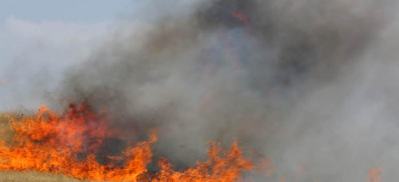 آتش‌سوزی گسترده در کوه‌بهار جاجرم خراسان شمالی