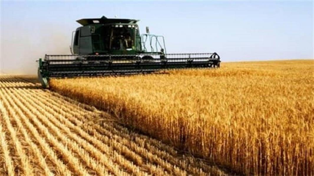 خرید بیش از ۷۰ هزار تن گندم تضمینی در خراسان رضوی