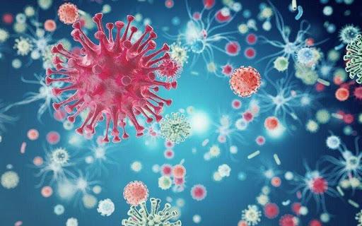 ۱۲ فرضیه باطل شده در مورد ویروس کرونا