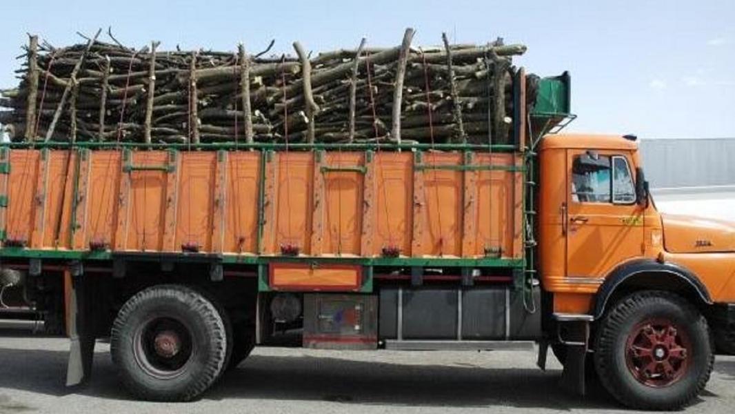 کامیون حامل چوب اکالیپتوس قاچاق در شاهرود توقیف شد