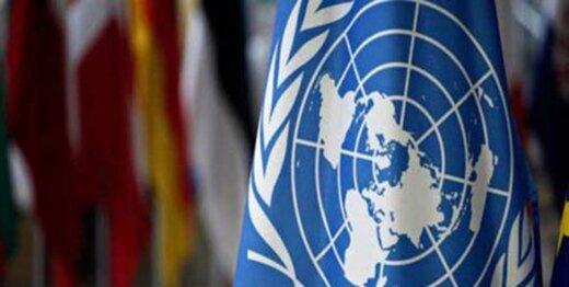 واکنش سازمان ملل به تعرض جنگنده آمریکا