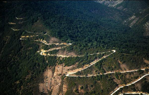 شعر زیست‌بومی و لزوم پویا‌سازی آن در شعر مدرن فارسی