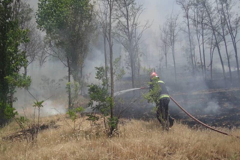 وقوع ۴۰ مورد آتش‌سوزی طی سه ماه در مناطق طبیعی تهران