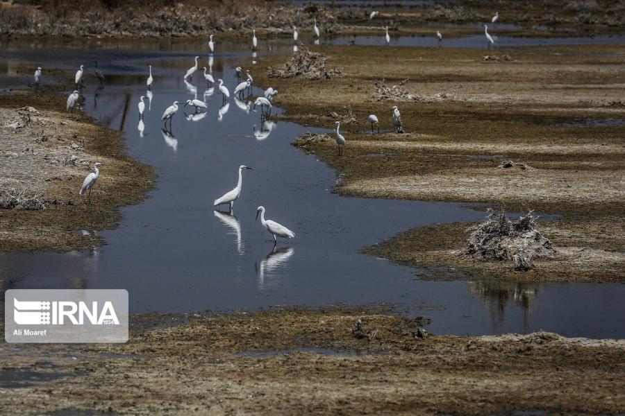 حقابه تالاب‌های خوزستان باید تامین شود