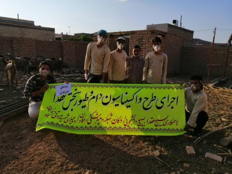 واکسیناسیون دام ۱۷ روستای یزد از سوی جهادگران دانشگاه اردکان + عکس