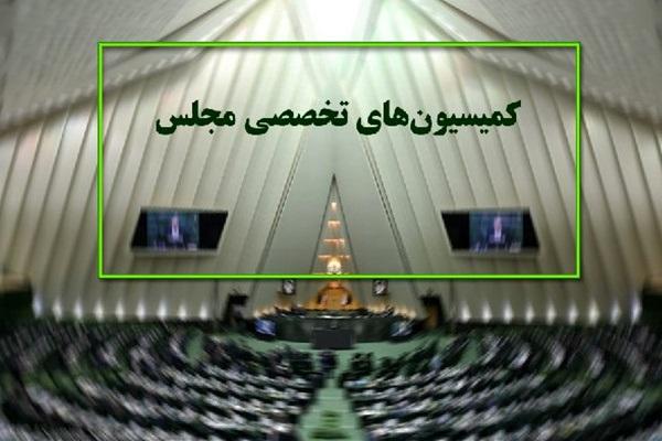 دستورکار این هفته کمیسیون های تخصصی مجلس شورای اسلامی
