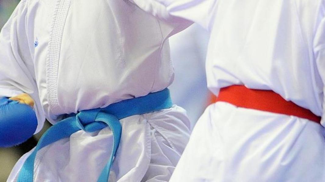 پیش نویس تقویم کاراته در سال ۲۰۲۱ ارائه شد