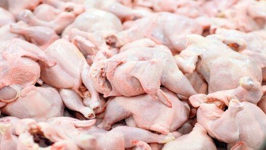 قیمت مرغ به کانال ۱۸ هزار تومان بازگشت