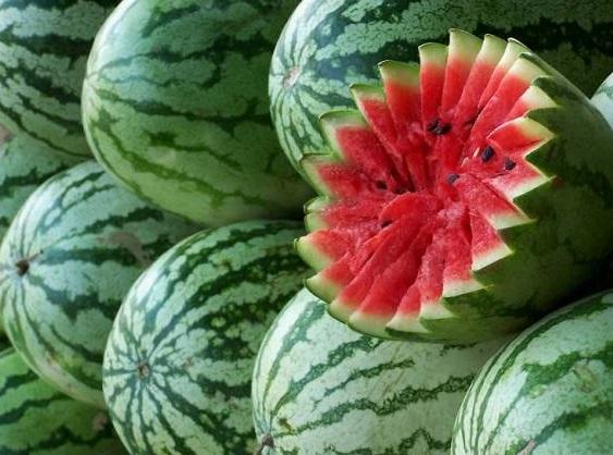 تهیه و توزیع ۱۲۰ بسته میوه‌ به مناسبت عید غدیر در قزوین