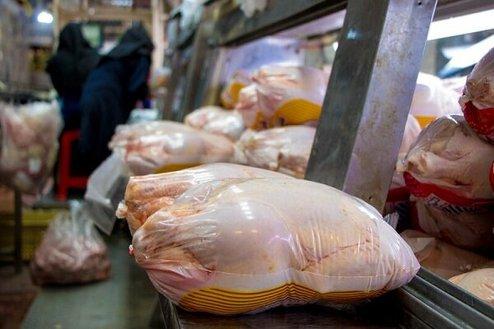 دلایل گرانی قیمت مرغ
