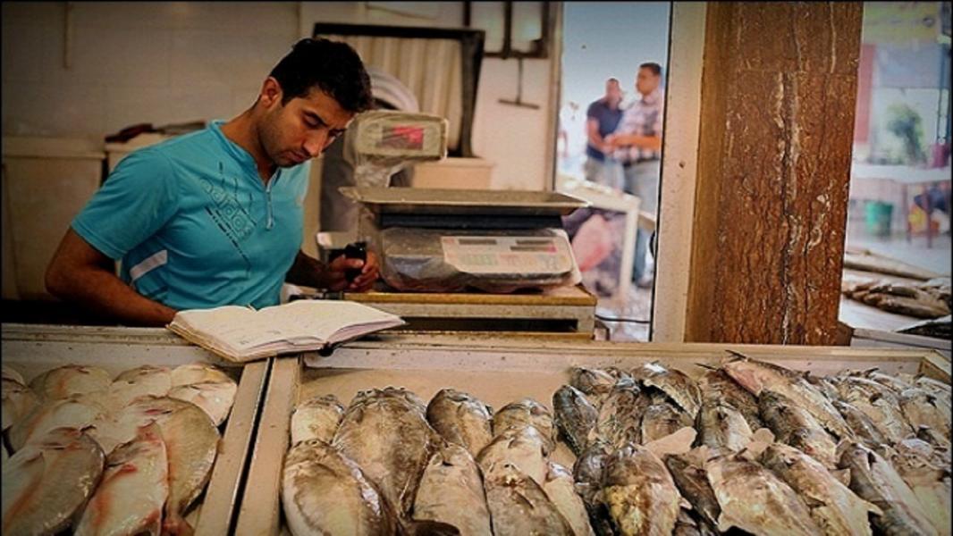 وقتی دلار ماهی بوشهر را گران می‌کند