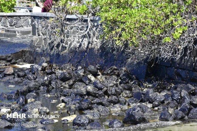 بحران زیست محیطی در جزیره موریس