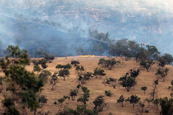آتش‌سوزی کوه گردکی باغ‌ملک عمدی است