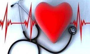 ویژه برنامه‌های شبکه سلامت برای نکوداشت روز پزشک