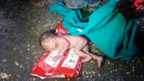 مورچه‌ها نوزاد دختر را زنده زنده خوردند! +عکس (۱۶+)