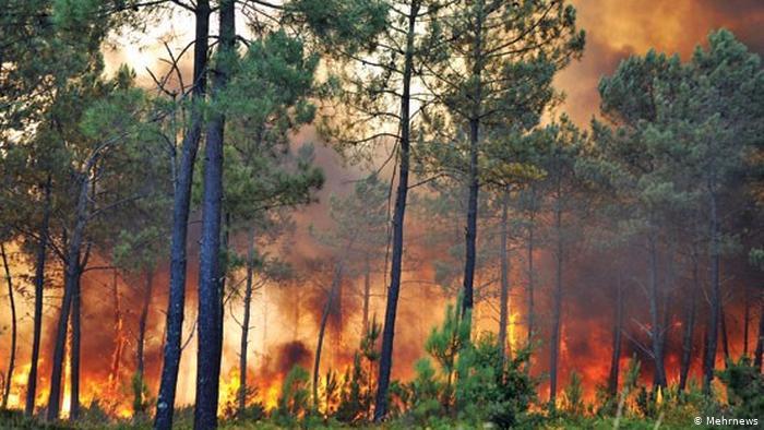 طی ۵ ماه بیش از ۲ هزار مرتع و جنگل در ایران آتش‌ گرفته‌اند