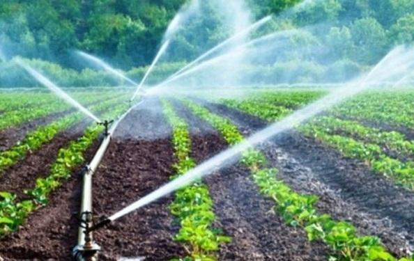 اختلاف وزارت جهاد کشاورزی و وزارت نیرو بر سر آمار آب / میزان مصرف آب کشاورزی چه مقدار است؟