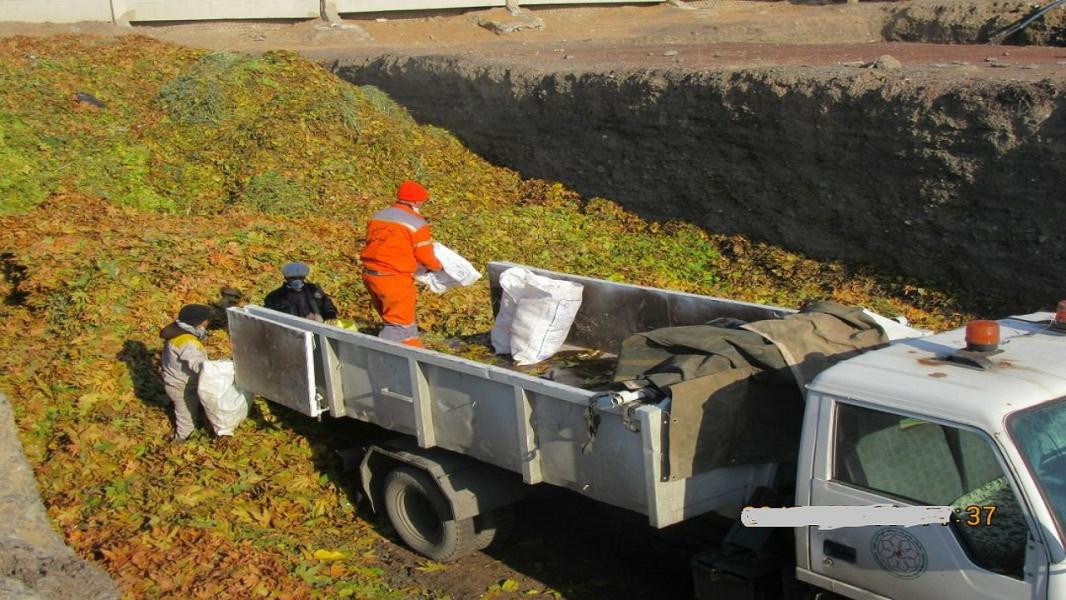 مشهد پیشگام در حوزه فضای سبز شهری در کشور/ خودکفایی شهرداری مشهد در تولید خاک ترکیبی