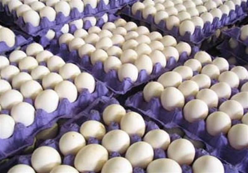 قیمت تخم مرغ رکورد زد/ هرشانه ۳۸ هزار تومان!