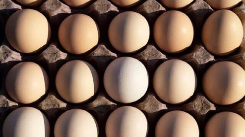 هر شانه تخم مرغ ۱۰ هزار تومان گران شد