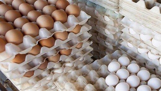 یک شانه تخم مرغ 45 هزار تومان