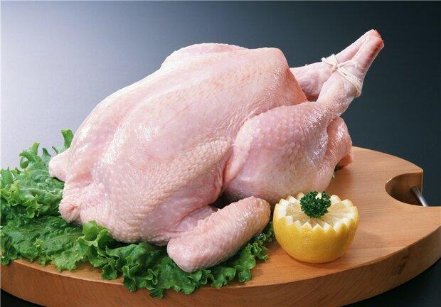 قیمت مرغ از ۲۰ هزار تومان گذشت/نرخ تخم مرغ کاهش یافت
