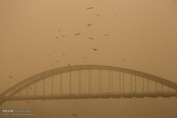 وزیر جهاد کشاورزی از کانون‌های گرد و غبار خوزستان دیدن کرد