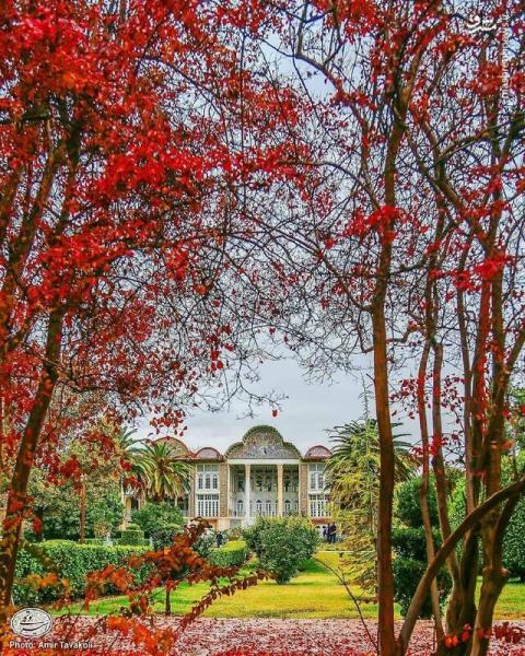 تصویر پائیزی از باغ ارم شیراز
