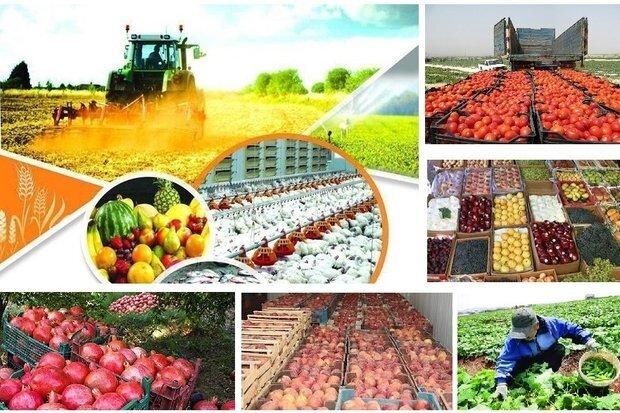 اتاق اصناف کشاورزی ایران تشکیل می‌شود