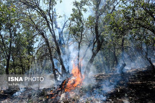 جنگل‌های گچساران پس از ۳ روز همچنان در آتش می سوزند