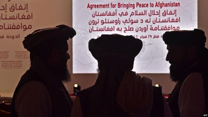 روحی‌صفت: طالبان ترامپ را فرصتی برای بازگشت به قدرت می‌داند
