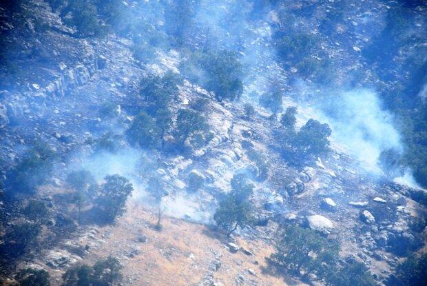 آتش سوزی جنگل ها در سه نقطه از کهگیلویه و بویراحمد ادامه دارد