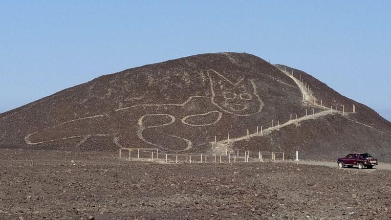  کشف تصویر یک گربه دو هزار ساله در خطوط نازکا در پرو