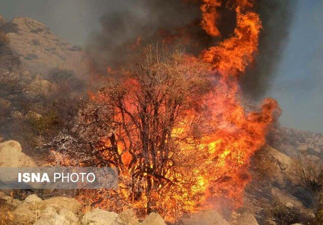 آتش سوزی جنگل‌ها و مراتع منطقه حفاظت شده خامی فعلا مهار شد