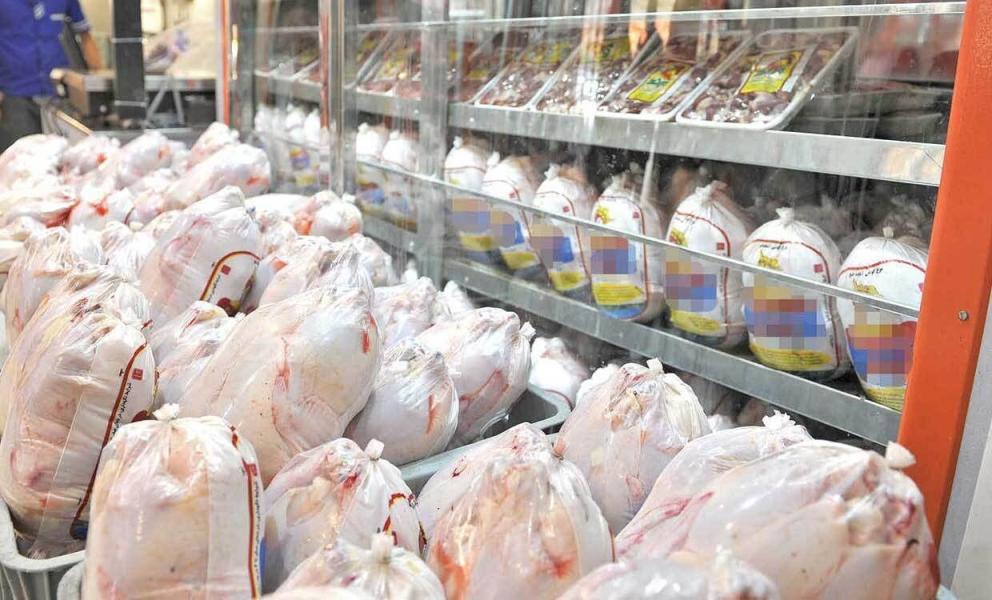 توزیع ۷ تن مرغ منجمد در مهاباد آغاز شد