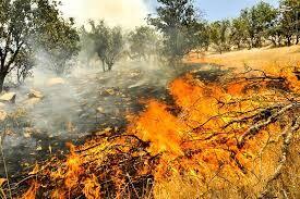 ۶ هکتار از جنگل های معمولان پلدختر در آتش سوخت