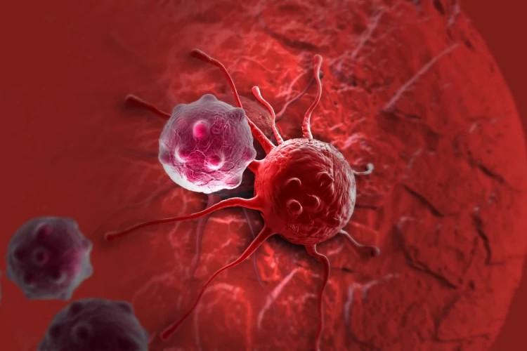 ارائه نانوذراتی که موجب مرگ سلول‌های سرطانی می‌شود